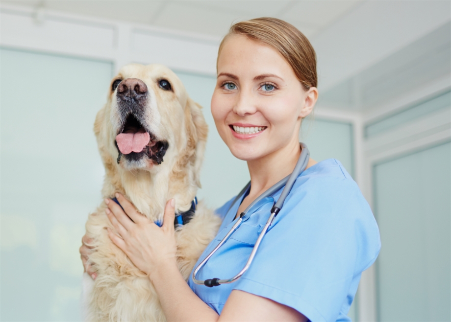 Welcome to Clearwater Animal Clinic | Veterinarian in Clearwater